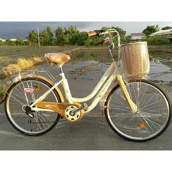2026淑女車推薦:買菜接送不鐵腿,7款網友熱議實測評比|學生/菜籃族、飛鴿/LEPPA